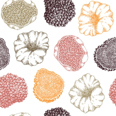 Truffle seamless pattern in color. Edible mushroom background. Forest fungus sketch. Fungal protein, mycoprotein source. Healthy food and plant-based meat substitutes texture design